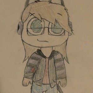 Meet your Posher, Shadow